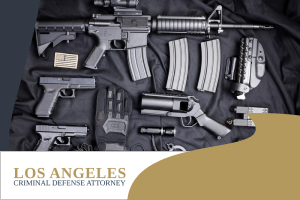 firearms-storage-and-transport-los-angeles