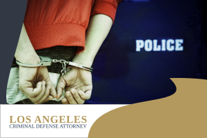 legal-consequences-of-theft-crime-conviction