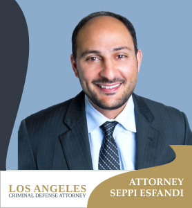 los-angeles-felony-lawyer